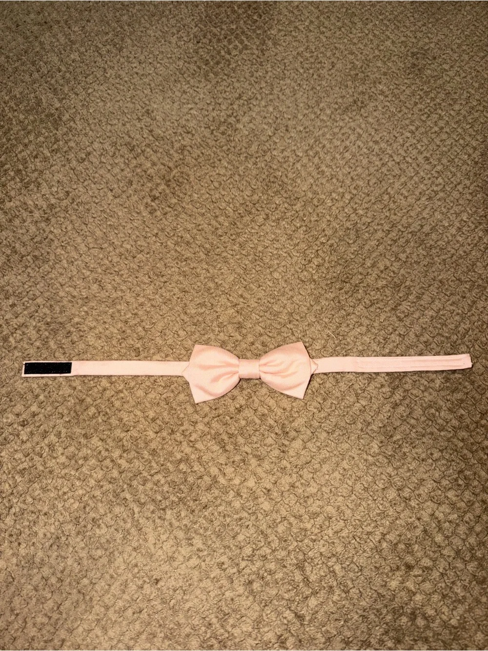 Birdy Grey Harry Kids Bow Tie - Blush Pink